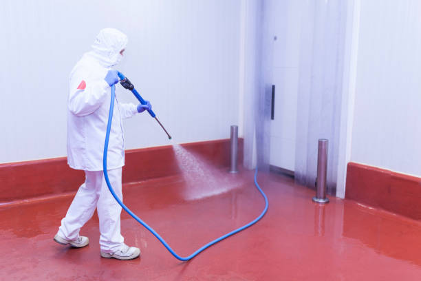 Best Playground Equipment Cleaning  in Slaton, TX